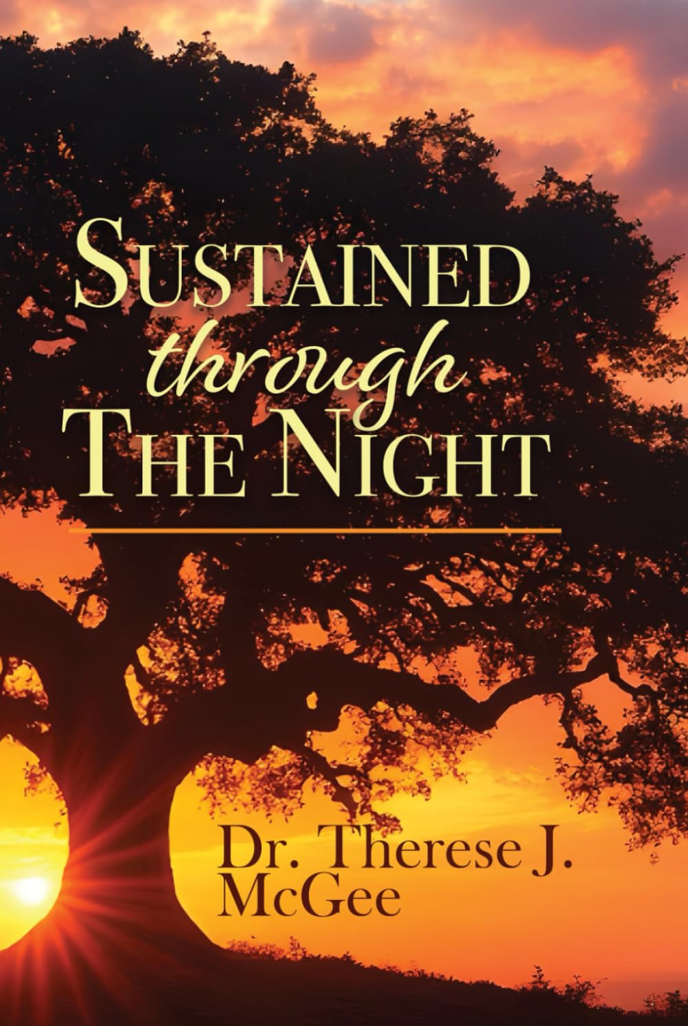 Sustained Through the Night: A Story of Love, Mental Illness, and Cultural Understanding