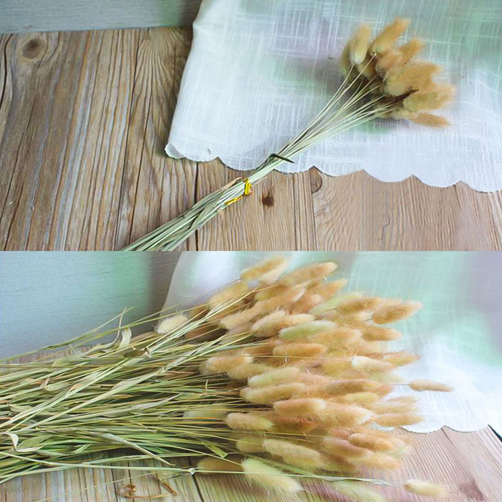 100 pièces Herbe de Pampa séchée de 50,8 cm de Haut. Herbe séchée de Fleur éternelle pour la décoration de la Maison de Mariage Arrangements Floraux Accessoires Photo, Couleur Primaire