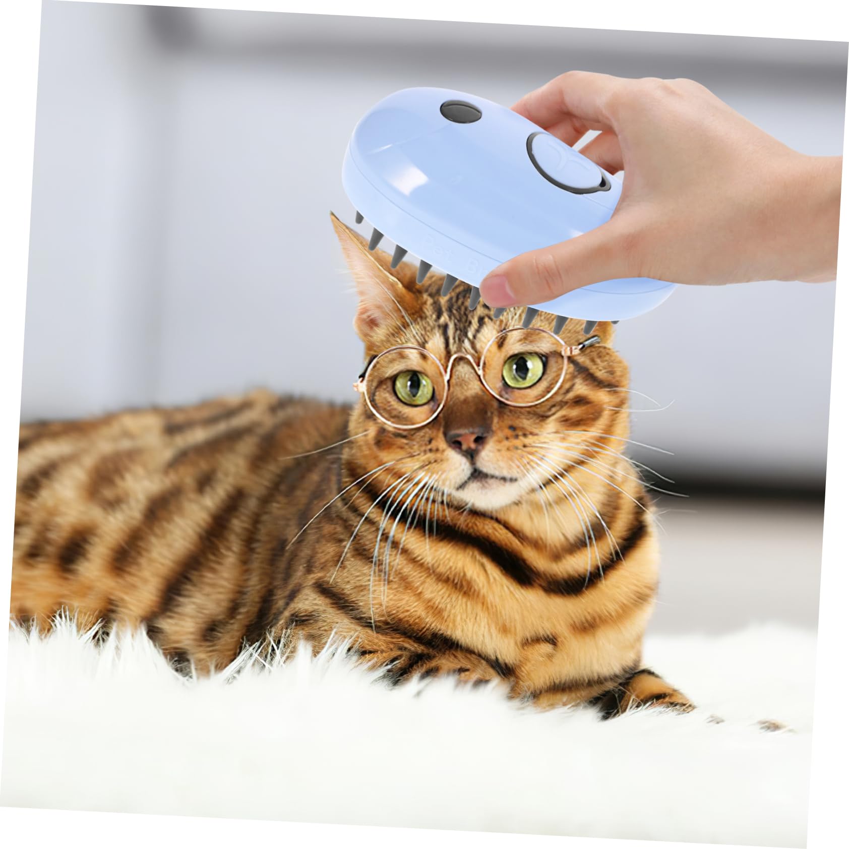 Kisangel 5stücke Pet Dog Dampfbürste Multifunktionale Katzenmassagebürste Mit Selbstreinigung Geeignet Für Katzenpflege Und Baden Elektrische Dampfbürste Design Für Sanfte Massage Und