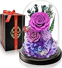 Preserved Eternal Rose in Glass Dome I Romantic Gift with LED Light I Valentine's Day Anniversary I Detail for Girlfriend, Wife, Mom and Grandma I Flowers That Last for Years