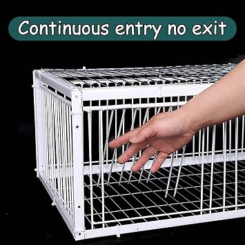 Pigeon Trap Bird Trap Catcher Bird Trap Bird Easy Installation for Racing Pigeons Doves Parrots Birds Window Door Bird Catching Breeding Supplies(60x40x26cm)