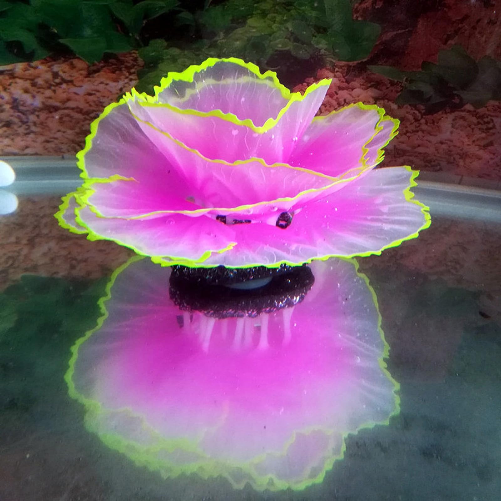 Besimple Adorno de Coral para Acuario, Efecto Brillante, decoración de Resina para pecera, decoración para Paisaje de Acuario