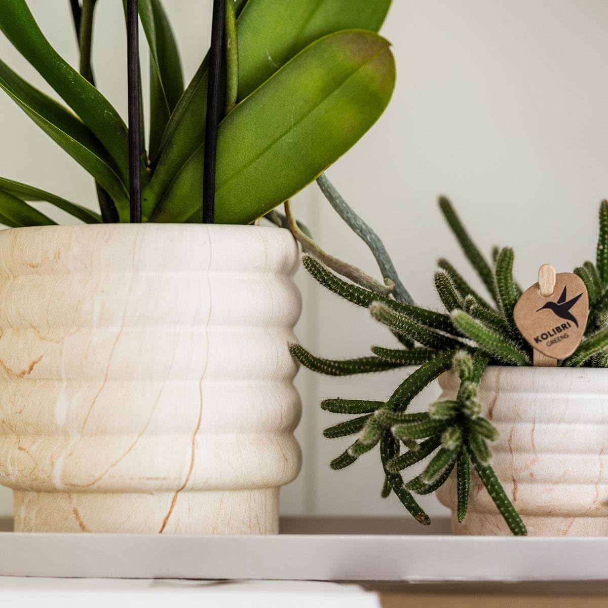 Lot de 3 Cache-pots Effet Marbre pour Plantes, Décoration Intérieur, Blanc