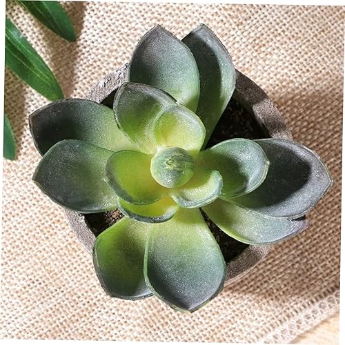 Miniatura 2 de ARTIBETTER Planta de cactus sintético, 3 piezas, adorno para suculentas, decoración de plantas suculentas, combinación de suculentas, decoración de