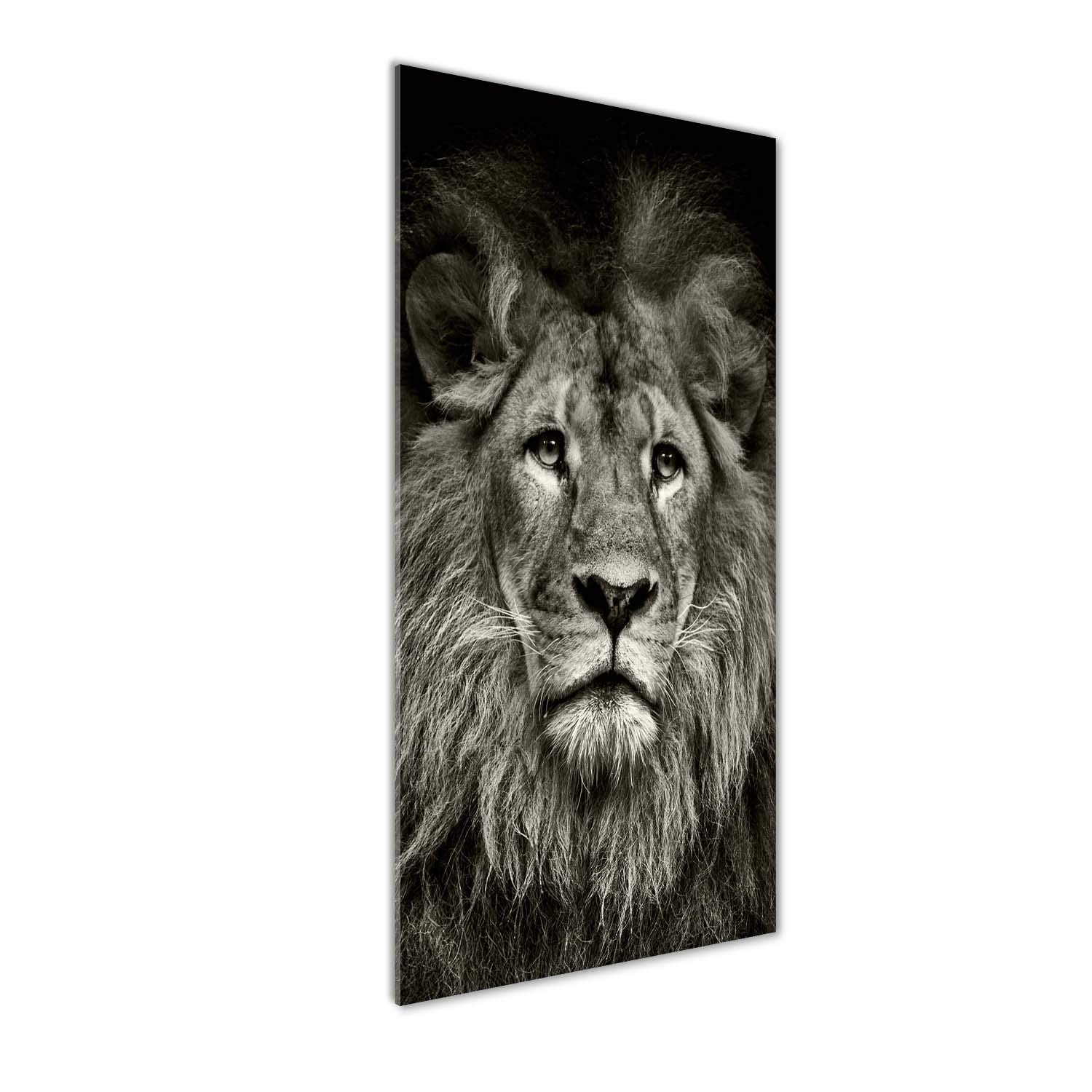 Mural art lion acrylique pour habiller un grand mur vide avec élégance