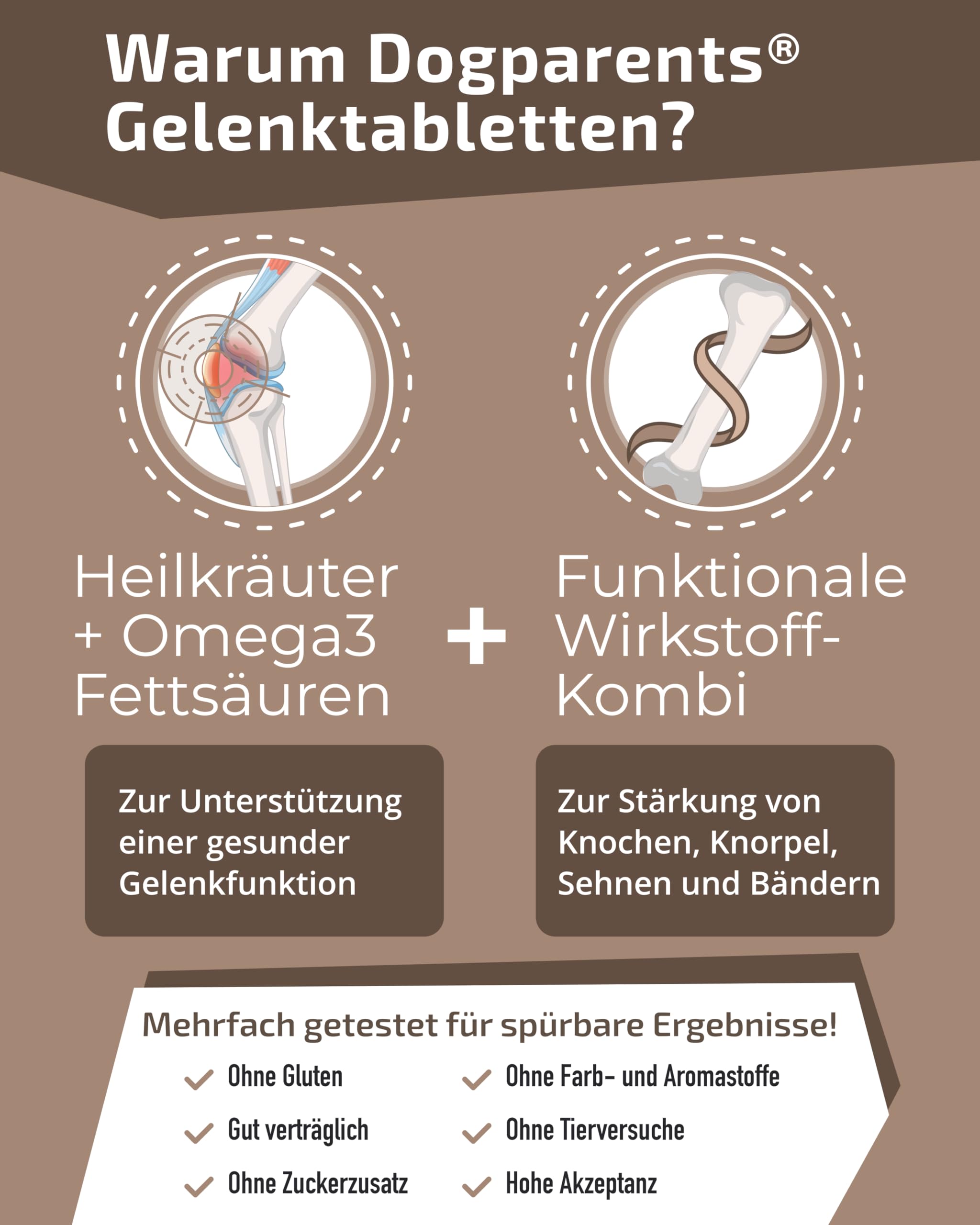 Gelenktabletten Hund [MADE IN GERMANY, ZUCKERFREI & LABORGEPRÜFT] Hochwirksame Formel mit Grünlippmuschel, MSM, Glucosamin, Curcuma, Granatapfel & Teufelskralle für Knochen & Gelenke (150g (1er Pack))