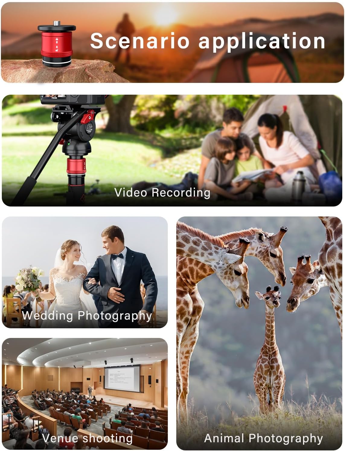 IFOOTAGE Quick Release Plate Camera Mount, Quick Release Tripod Monopod Mount with 1/4" & 3/8" Screw, Universal for Most Monopods/Tripods/Sliders, CB3-QRM01