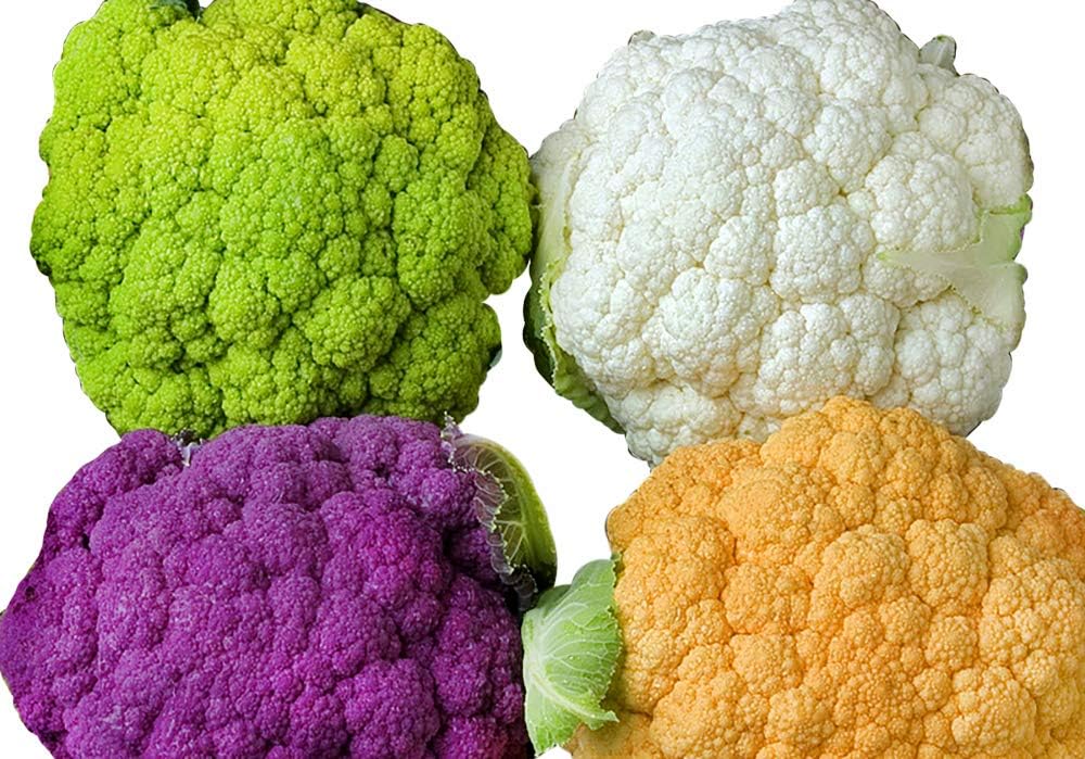 This is A Mix 50 Cauliflower Mix Seeds Heirloom Non-GMO 4 Varieties Purple Green Yellow Delicious, Brassica oleracea, from USA
