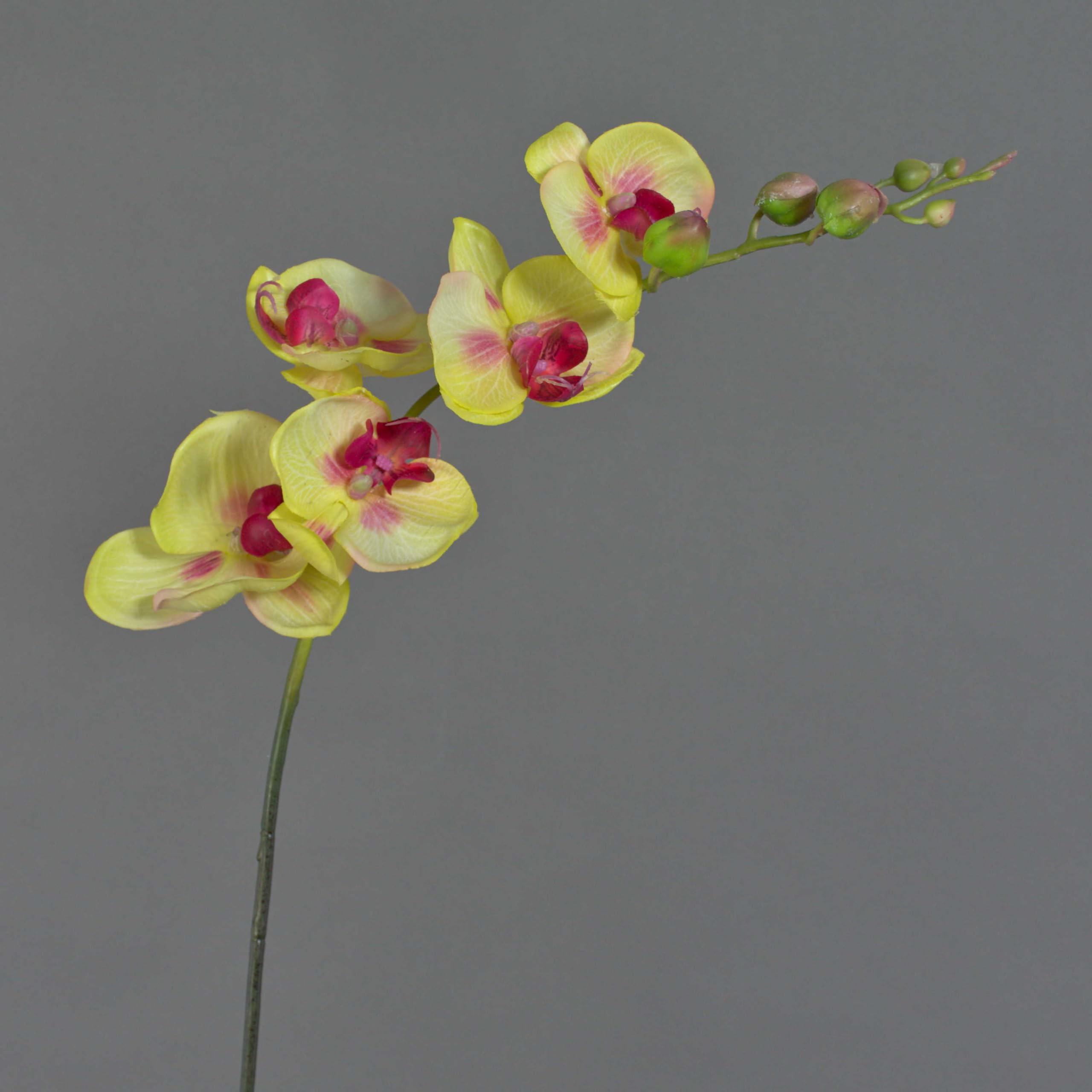 artplants.de Plastic Sprig of Orchid Phalaenopsis, real touch, green-burgundy, 3ft/90cm - Plastic Orchid Sprig - Window Decoration