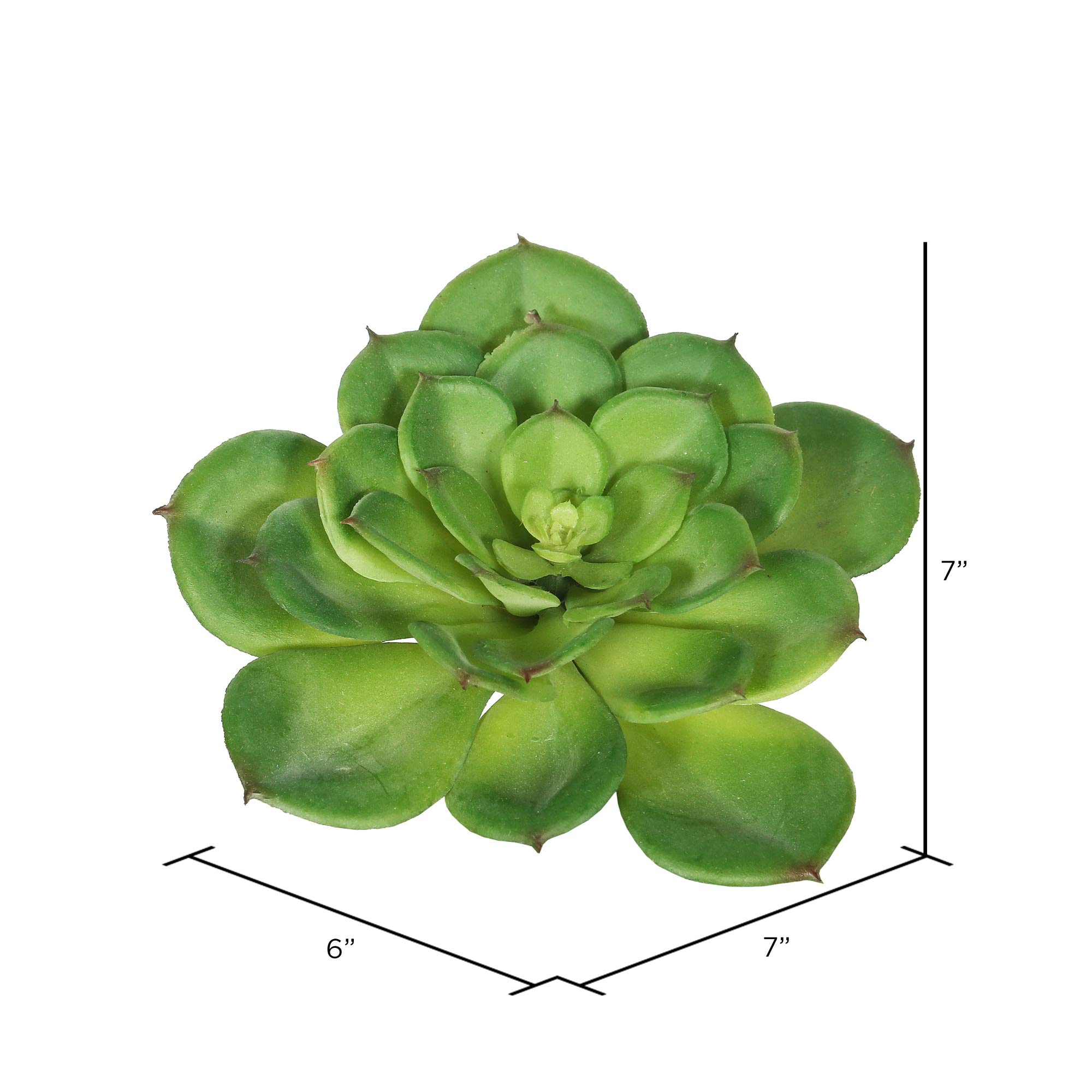 Amazon｜Vickerman Everyday 7インチ 屋内人工グリーン多肉植物茎