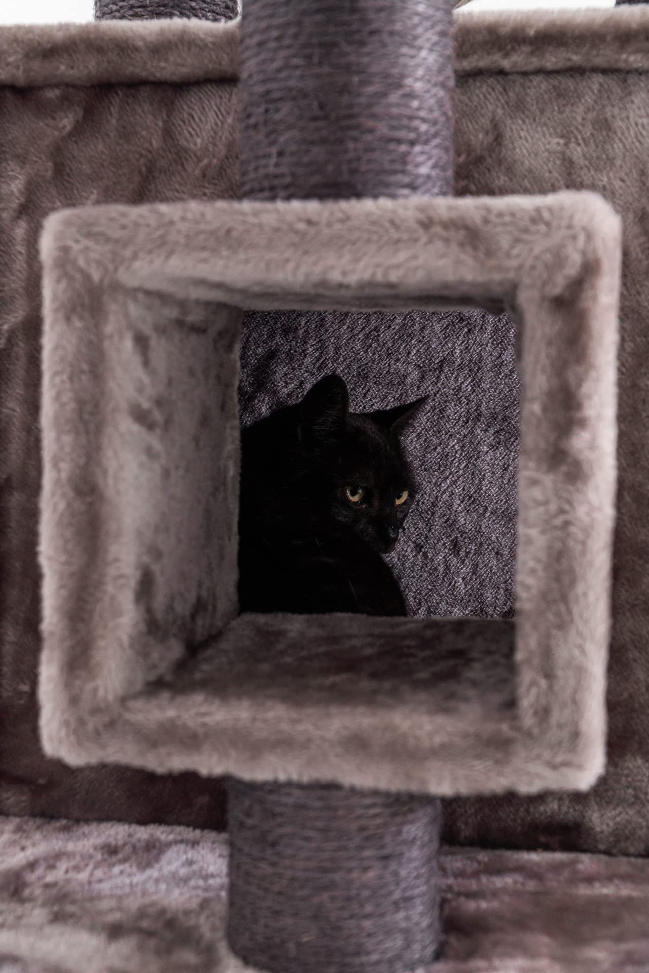 Petrebels Kratzbaum Stabil für mehrere Katzen, Cleopatra 134 cm, Cappuccino | mit dicke Bodenplatte, Ø 9 cm Stämme, waschbaren Kissen, Hängematte, Höhle & Loungesofa, auch ideal für Senioren und Kätzchen
