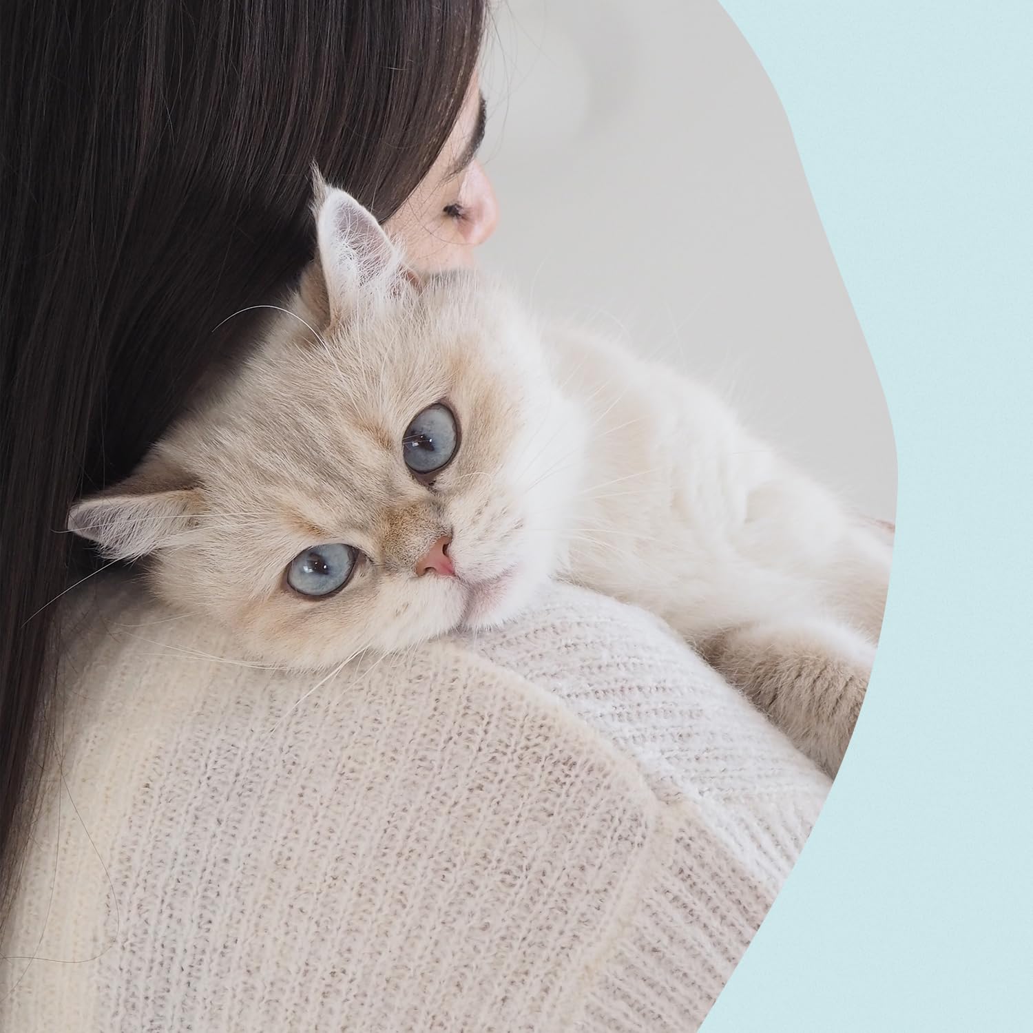 GimCat Nutri Dental Bites – Delicioso Aperitivo con una Receta específica para el Bienestar de tu Gato – 1 Bolsa (1 x 40 g)