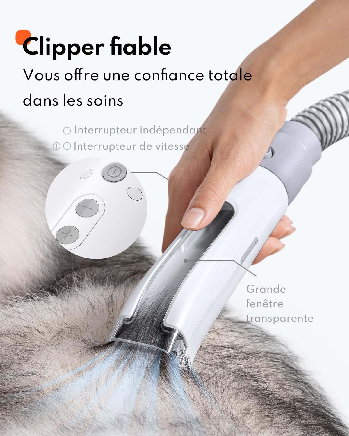 Homerunpet Aspirateur Poil de Chien, Ultrasilencieux & Super Aspirant Kit de Toilettage pour Animaux de Compagnie, Professionnel Tondeuse Chien Chat avec 6 Outils de Toilettage, 1,85L