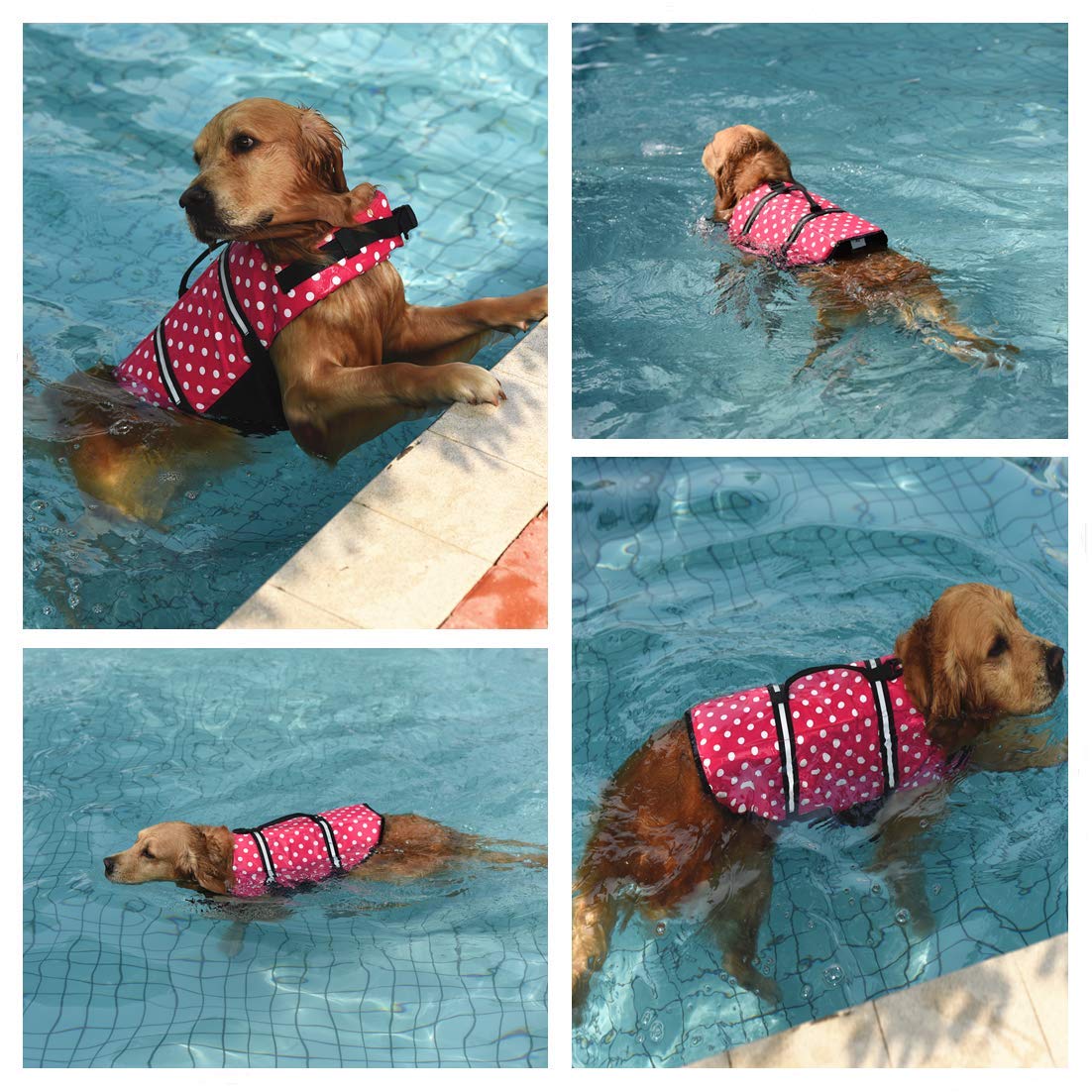 Doglay Hundeschwimmweste - Hoher Auftrieb, Reflektierend, Verstellbar Für Boot & Schwimmen