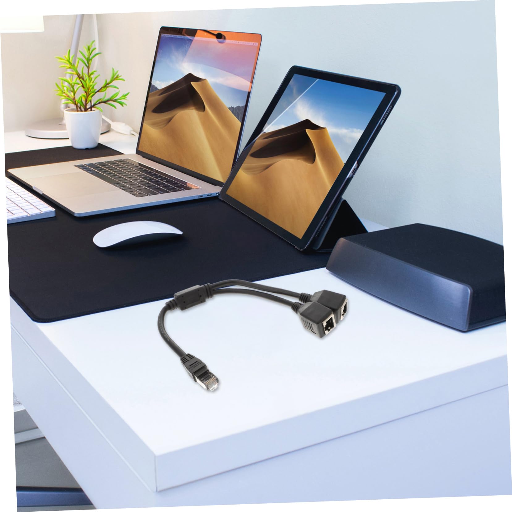 Hemobllo Ethernet Splitter Cable LAN Network Adapter 1 Male to 2 Female High- Cable Coupler Ethernet Splitter for 2 Pcs