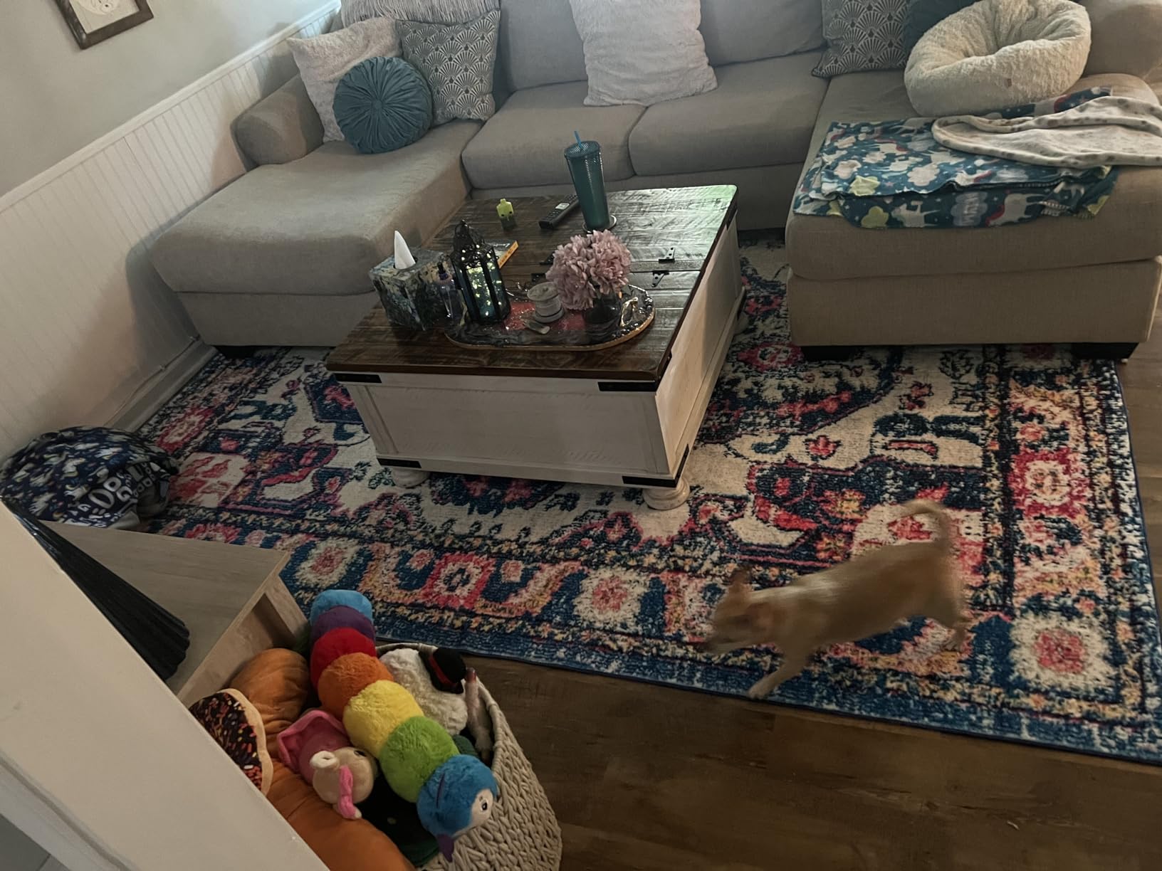 Customer photo