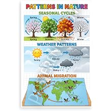 Patterns in Nature Seasonal Cycles Weather Animal Migration Educational 12x18 US Made Poster