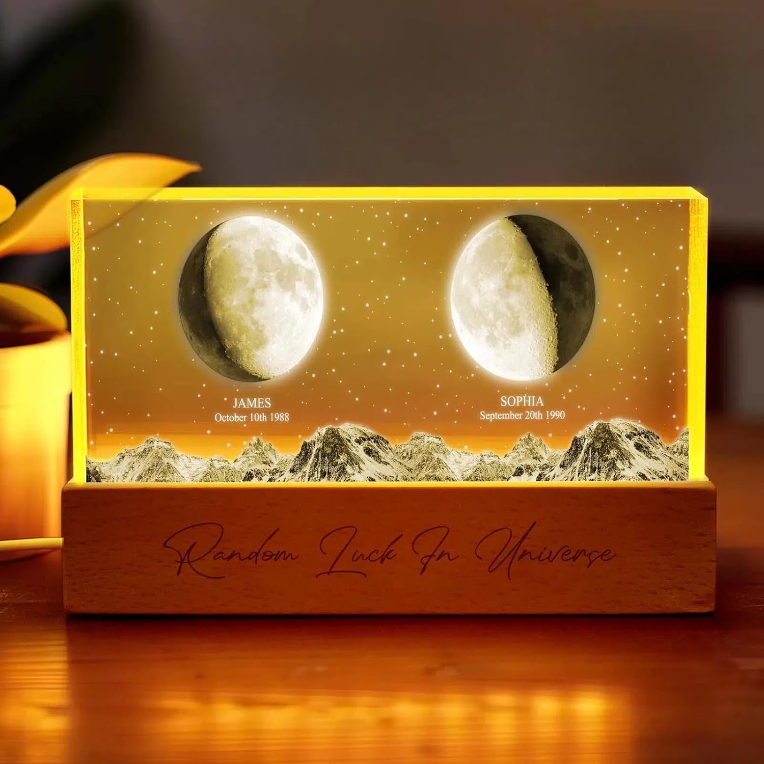 VEELU Custom LED Night Light Personalized Photo Lamp with Date Text 2cm Thick Acrylic Plaque Romantic Gift for Girlfriend, Partner, Loved Ones Unique Memorial Condolence Gift (Remember Beloved Pet)