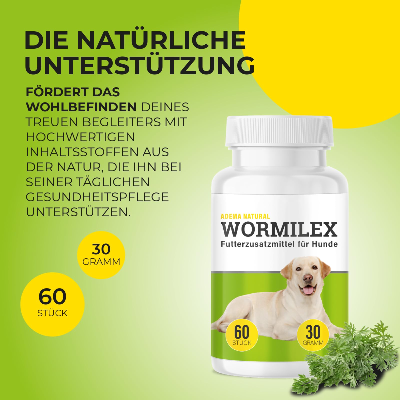Wormilex Lot de 10 comprimés vermifuges secondaires pour chiens Formule végétale sans additifs pour chien