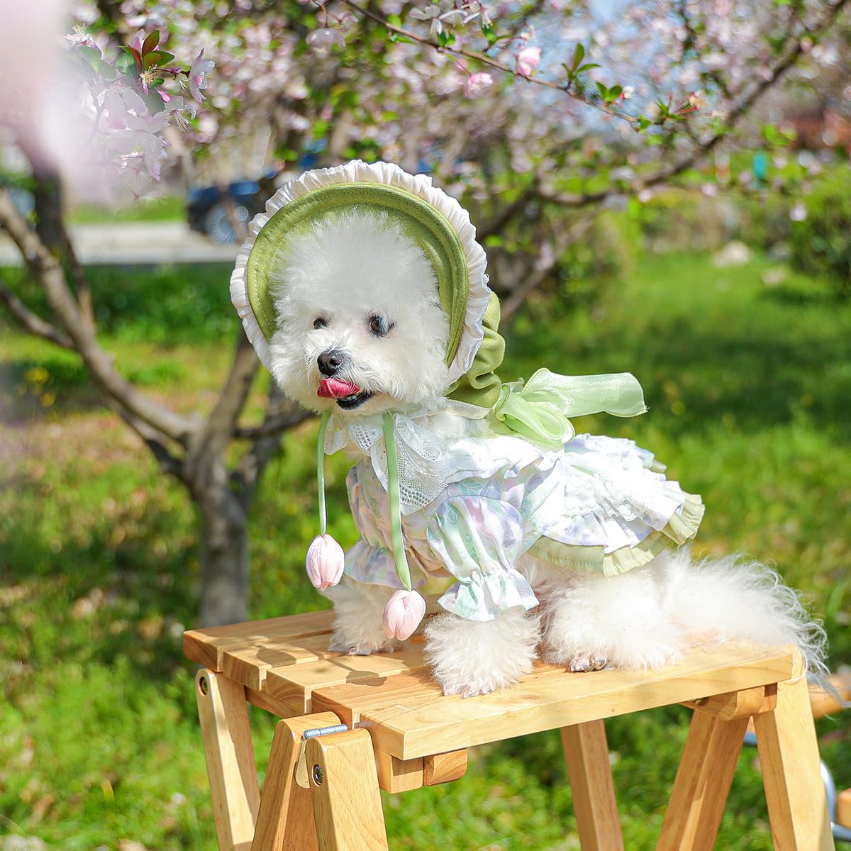 BT Bear Dog Hat,Flower Rural Lace up Pet Lady Dress Hat for Cats Girls Puppy Small Dogs,Green S - Image 4
