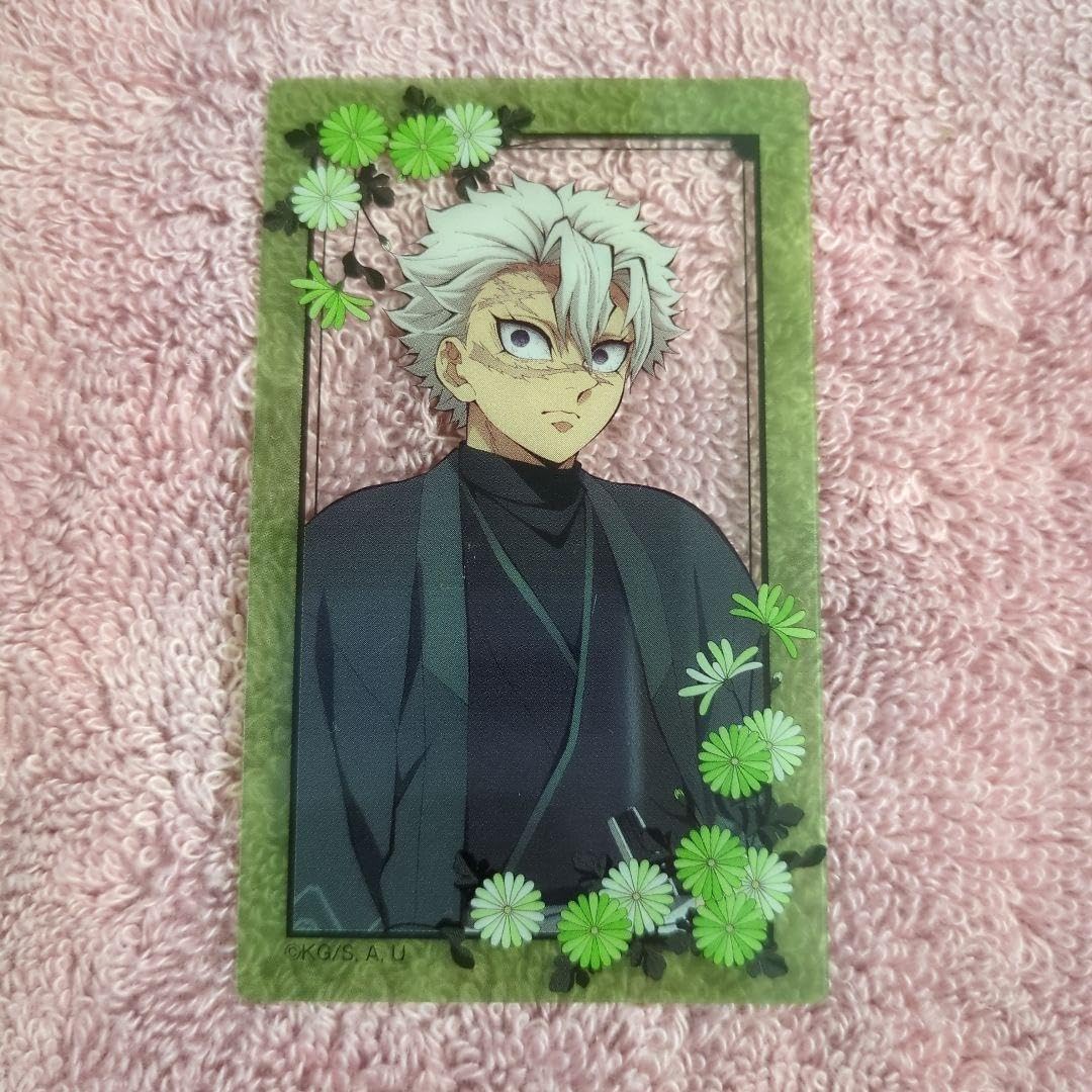 Amazon.co.jp: 鬼 滅 ナンジャタウン いこいの里巡り クリアカード 実