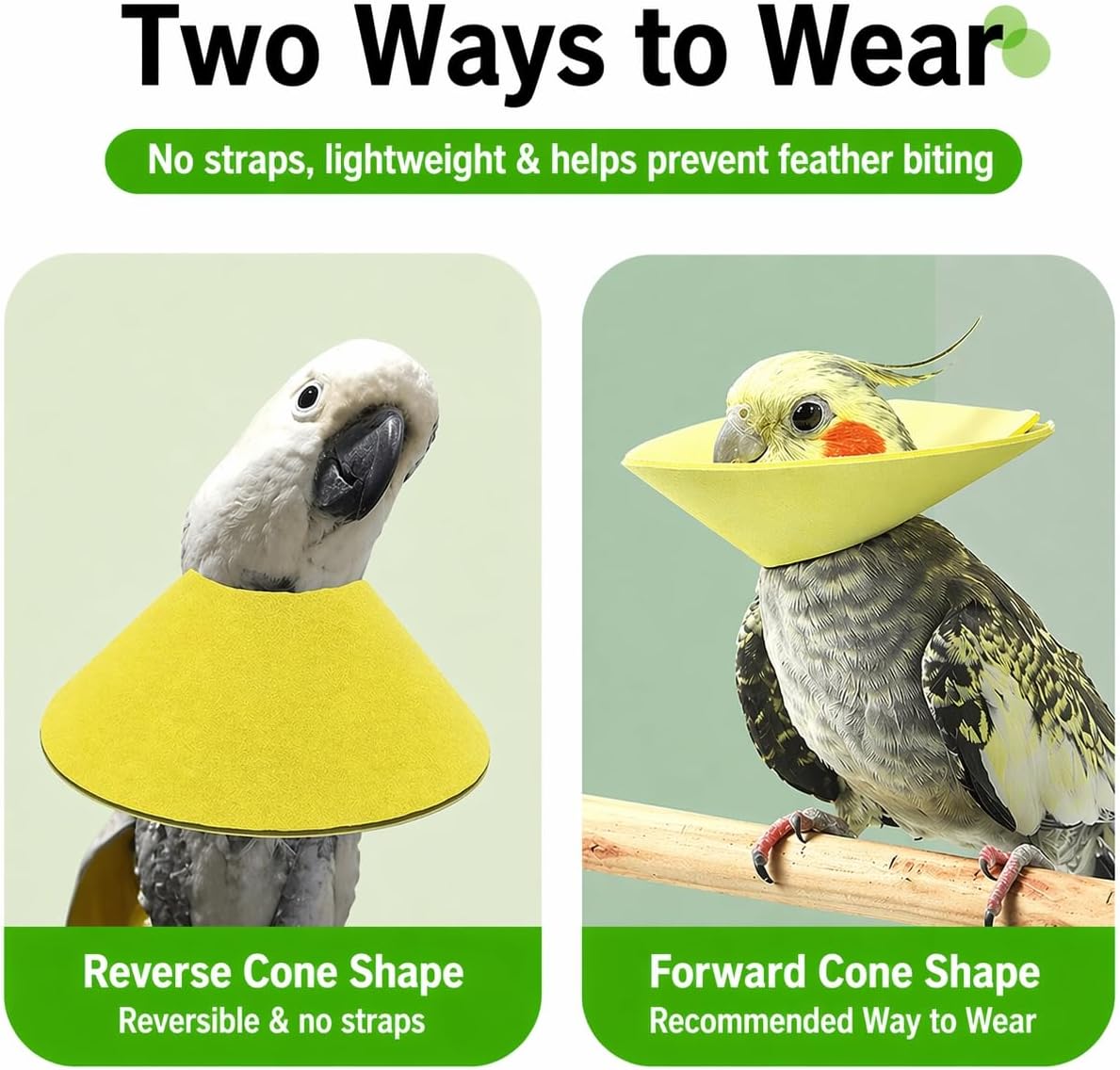 4pcs Bird Cone Collar, Bird Elizabethan Collar for Wound Biting Prevention & Feather Plucking, Protective Recovery Cone for Cockatiel/Conure/Lovebird/Young Caique Parrots