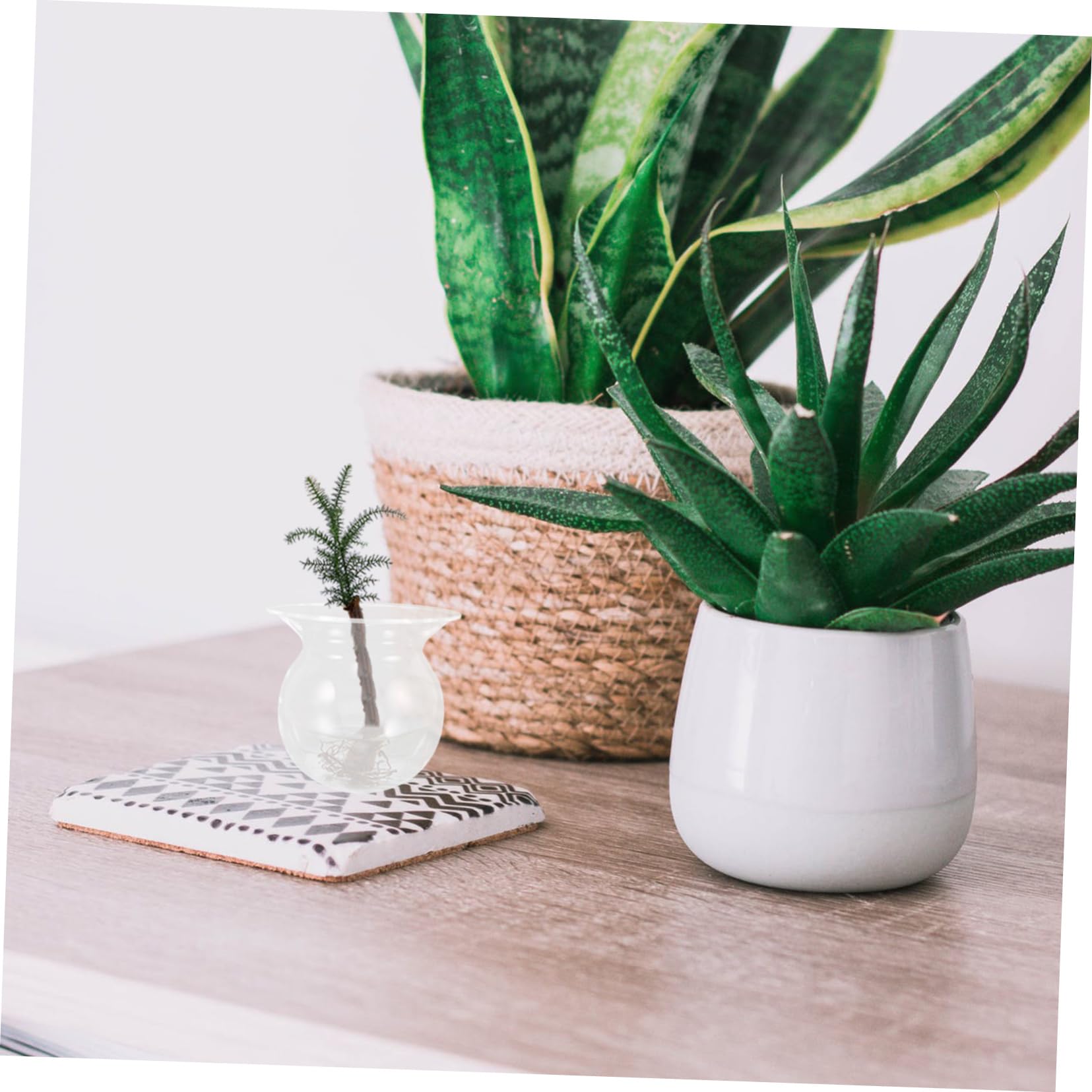 Vase en Verre Rond Minimaliste 4 Pièces pour Propagation