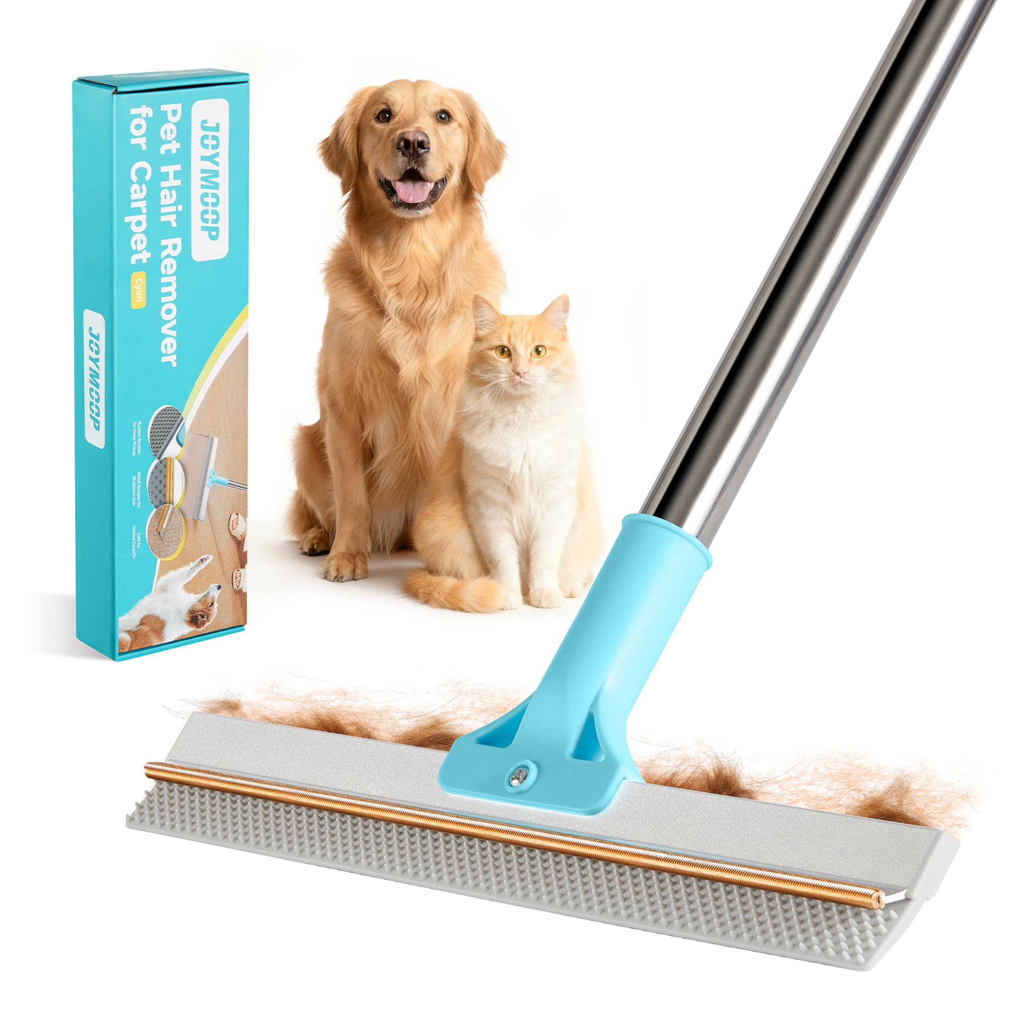 JOYMOOP 2-in-1 Carpet Rake