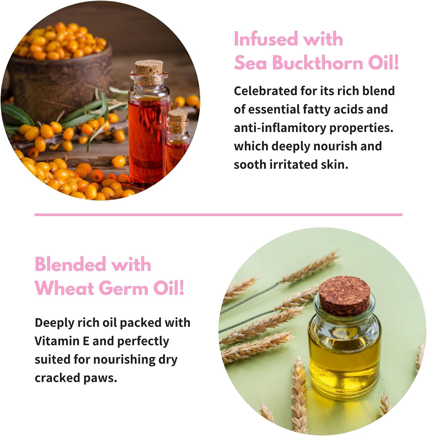 Toe Bean Oil Paw & Nail Care for Cats | Paw & Nail Care for All Cats, Cleans & Conditions, Lick-Safe, 100% Natural, Product of Canada