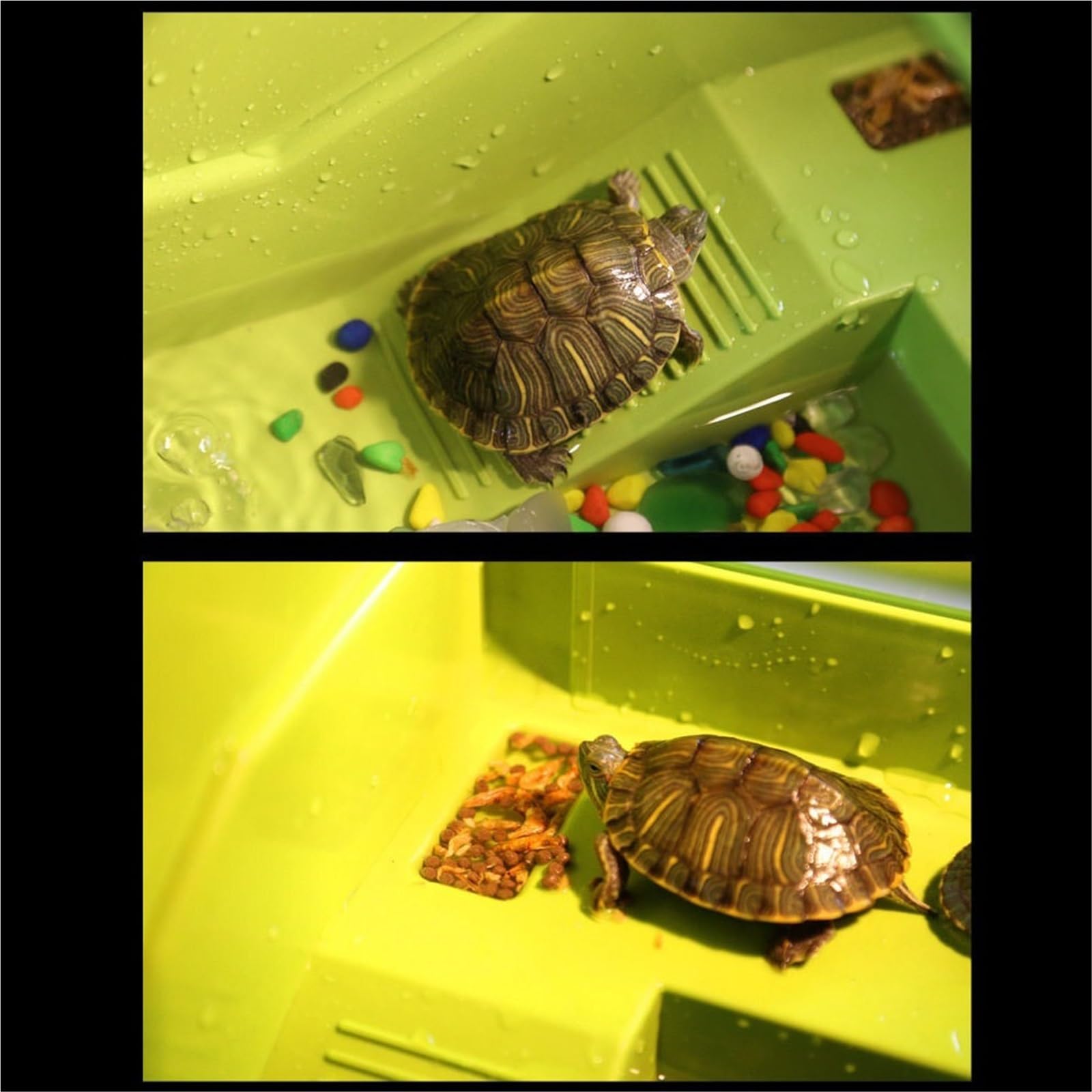 Hábitat del terrario Plataforma de Secado Verde con Caja alimentación for Tortugas separación lo seco y húmedo Terrario del Acuario