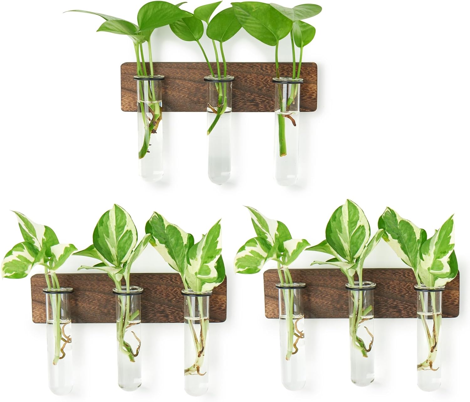 XXXFLOWER Wall Mounted Plant Terrarium with Wooden Stand 3 PCS Hanging Planter Propagation Station with 3 Glass Tubes for Plant Cuttings Flower Vases for Home Office Indoor Decor