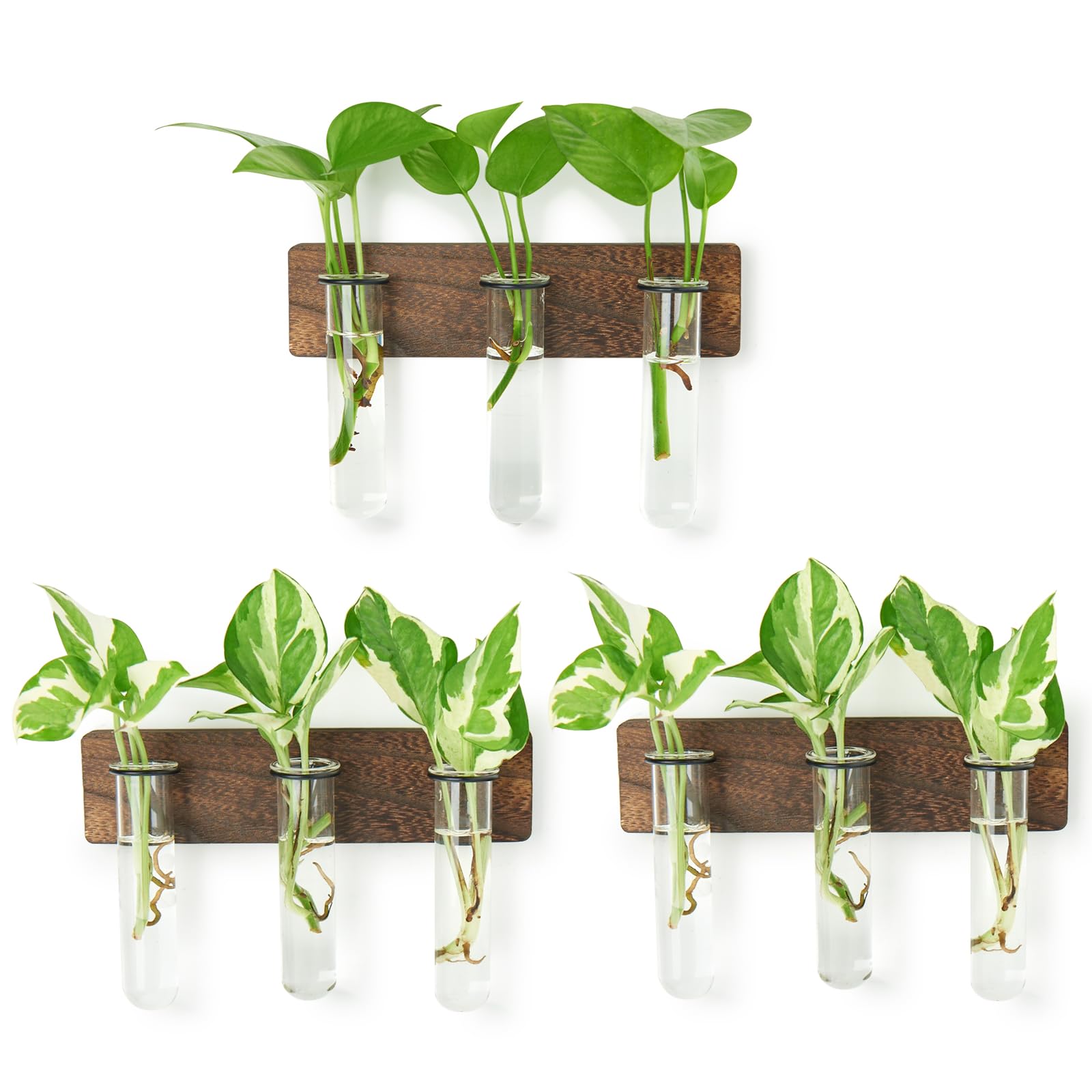 XXXFLOWER Wall Mounted Plant Terrarium with Wooden Stand 3 PCS