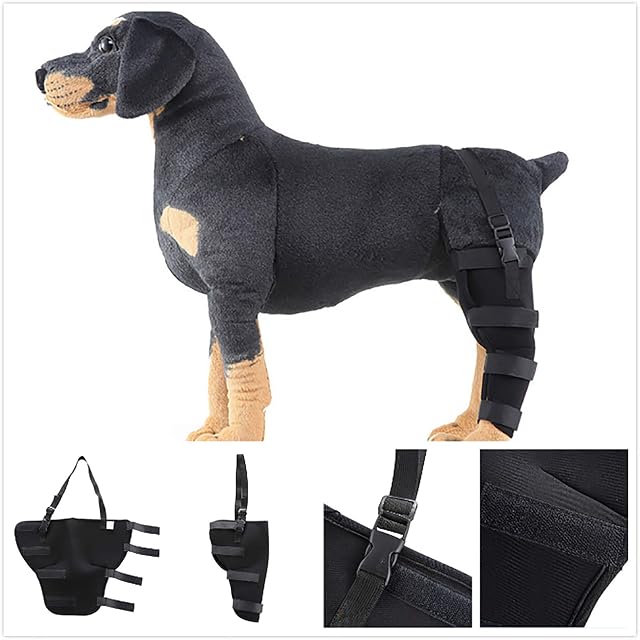 Foto 4 de 6 de Rodilleras Perros, Gatos, Rodilleras para Curar, Prevenir Lesiones, Esguinces