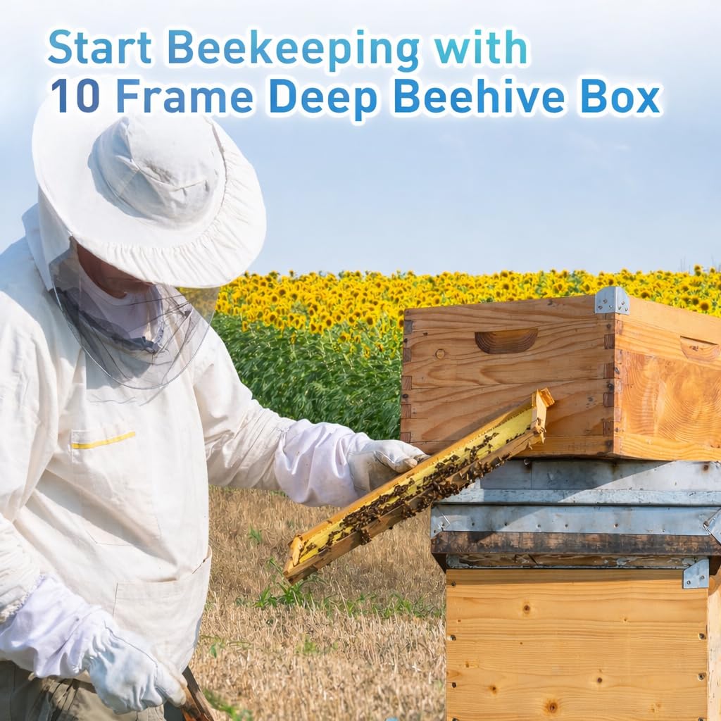 10 Frame Deep Beehive Box, Deep Brood Box Dipped in Beeswax, Wax Coated Beehive Box for Beginner Beekeeper, Screws Included, Unassembled (No Frames or Foundations),