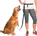 The Buddy System Adjustable Hands Free Dog Leash, Hand-Free Leash for Running, Jogging, Walking, Hiking and Training - Small Dog System Leash (Under 20lbs) - Made in USA - Small Dog, Large Belt, Black