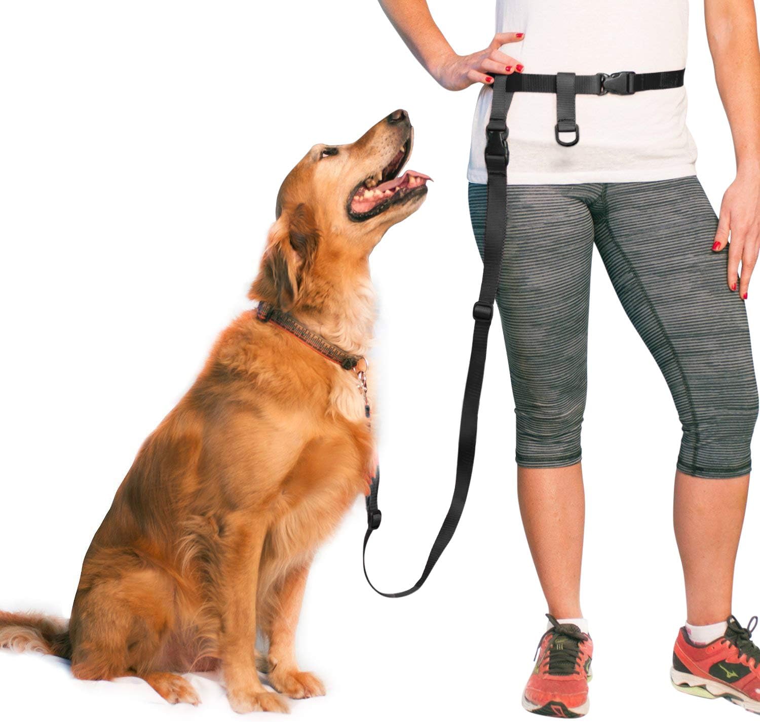 The Buddy SystemAdjustable Hands Free Dog Leash, Hand-Free Leash for Running, Jogging, Walking, Hiking and Training Service Dogs, Versatile All Dog Sizes - Made in USA - Regular, Black