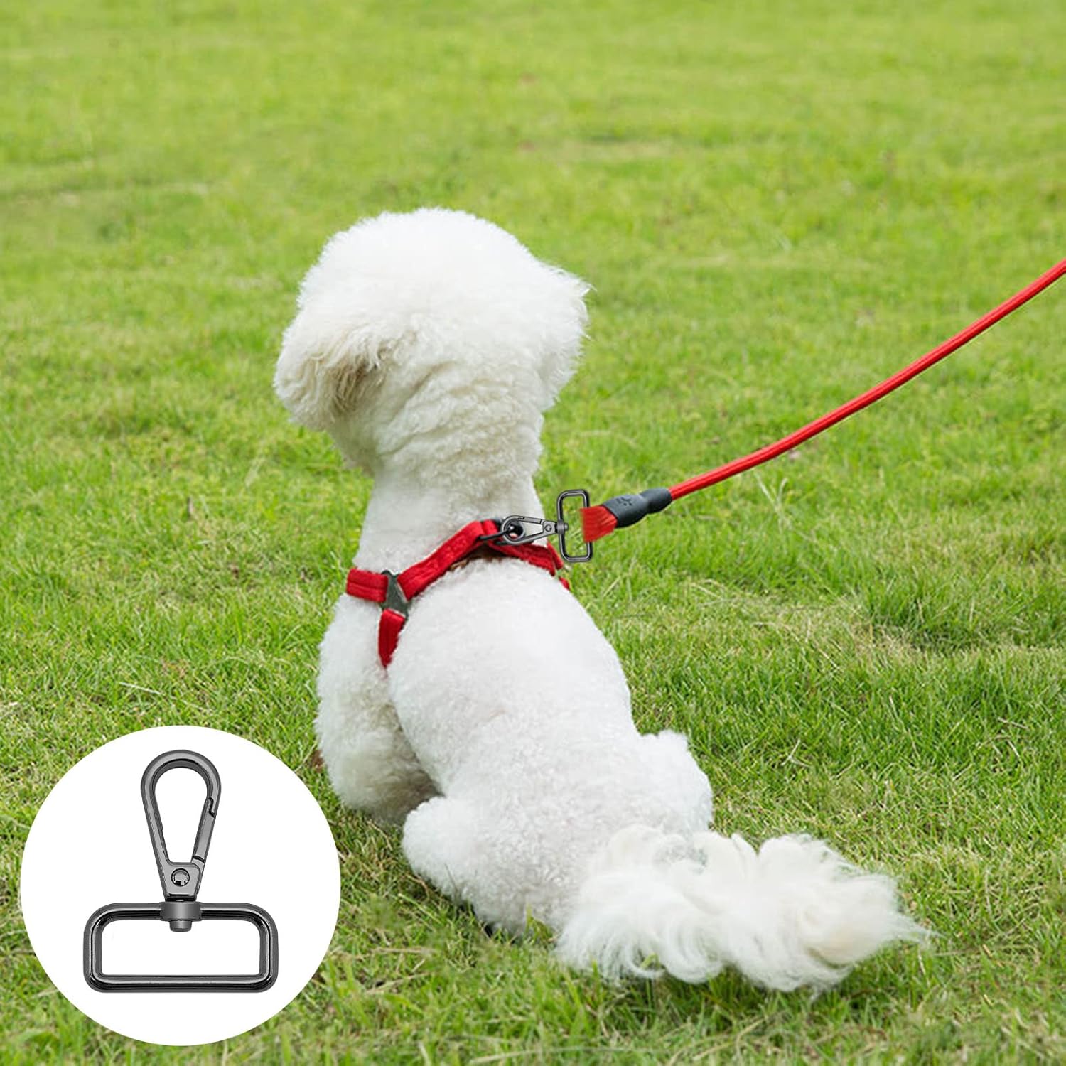 24Pcs Swivel Clasps 1.25" D Ring Lobster Clasp Claw for Strap Push Gate Lanyard Metal Swivel Snap Hooks Lobster Clasp Clips for DIY Keychain Jewelry Crafts Purse Bag Making(3.2cm Inside Diameter) - Image 5