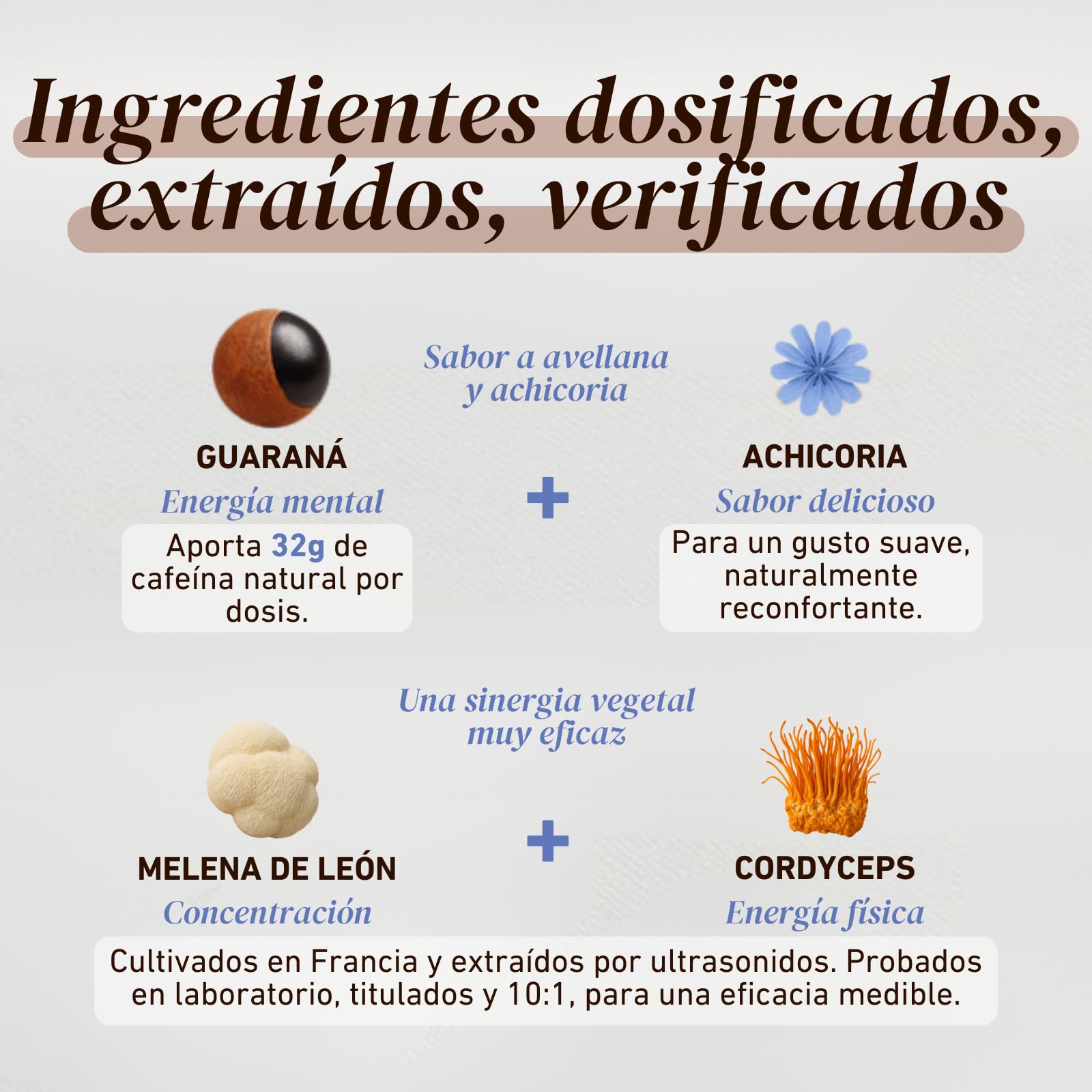 French Mush BOOST - Alternativa al Café con Hongos Adaptógenos Bio: Lion’s Mane & Cordyceps Bio - Enfoque, Energía & Digestión - Alternativa Vegetal al Café - 20 Dosis