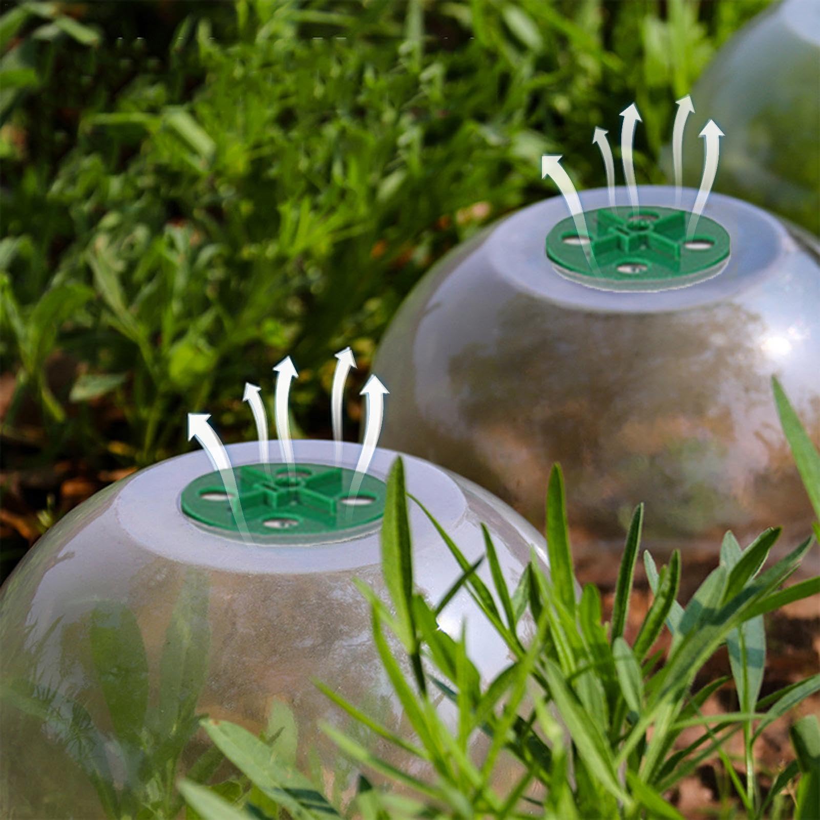10 Stück Gartenglocken, Abdeckung für Glocke, Kuppel, transparent, Glocke, Garten, Gemüsegarten, Glocke, Salat, Atemschutz