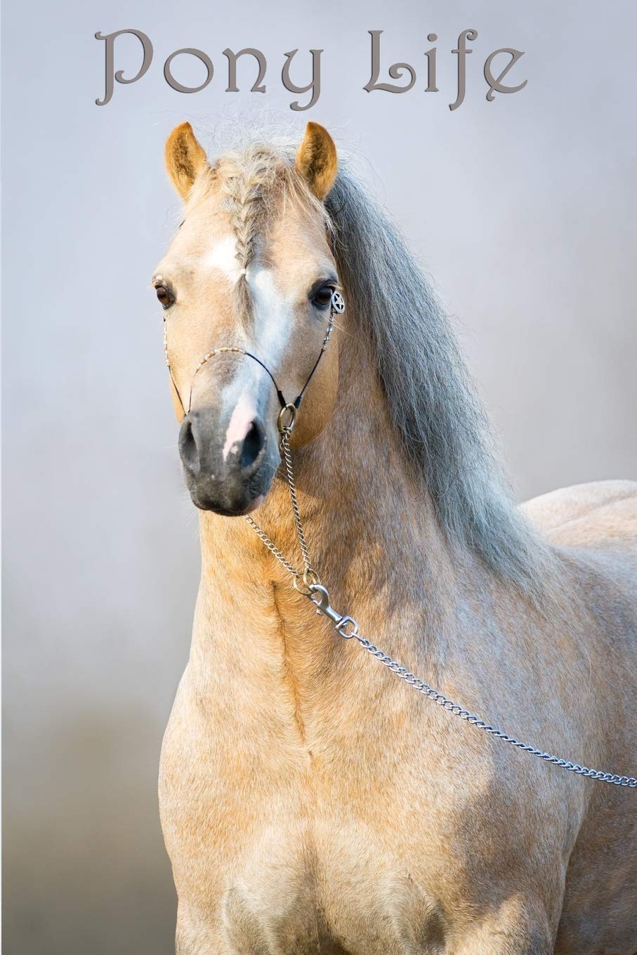 Pony Life: Diary Logbook Journal for Pony Owners and Lovers