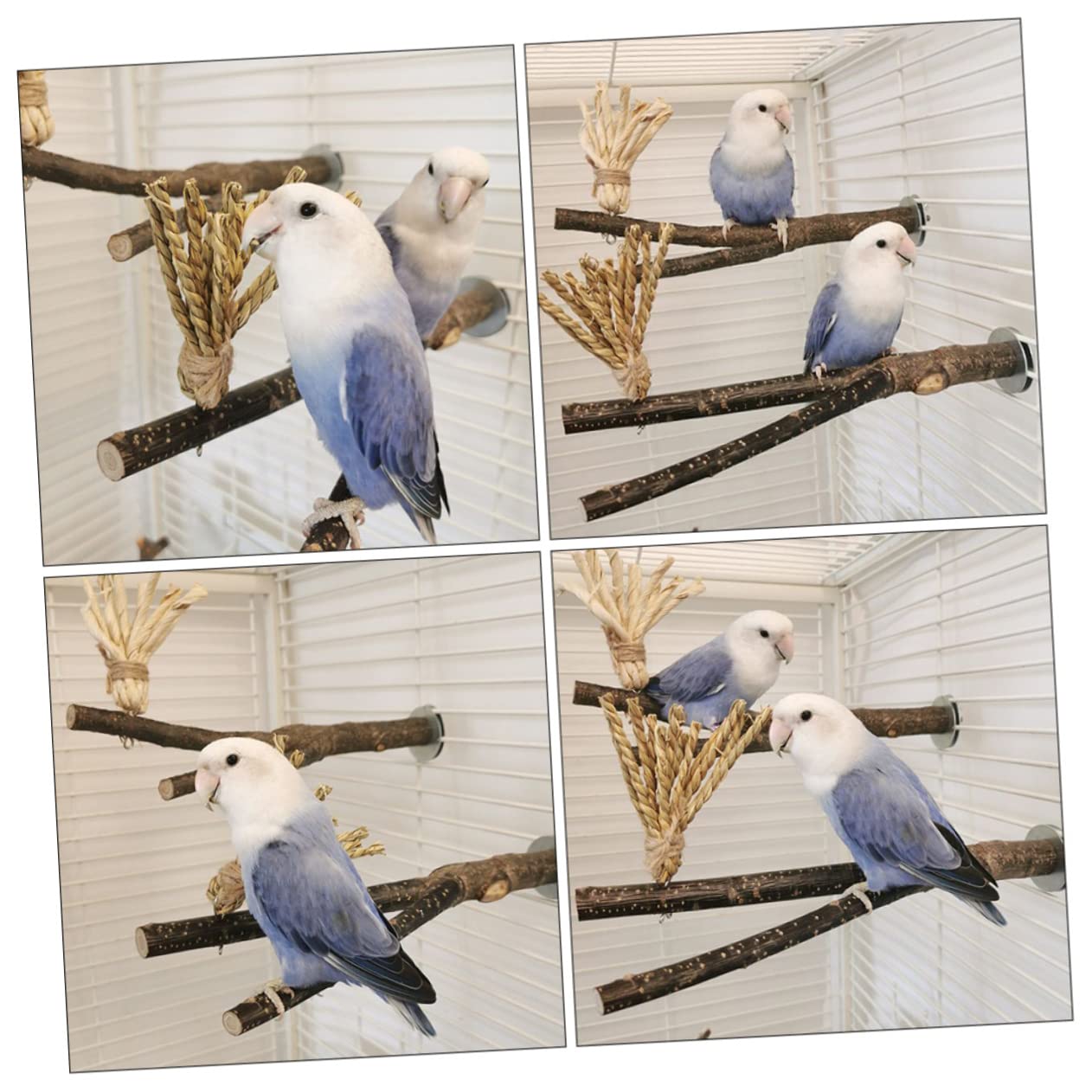 Angoily 5stücke Kauspielzeug Für Vögel Naturholz Kratzbaum Für Papageien Und Wellensittiche Für Artgerechte Beschäftigung Und Spielvergnügen Im Käfig
