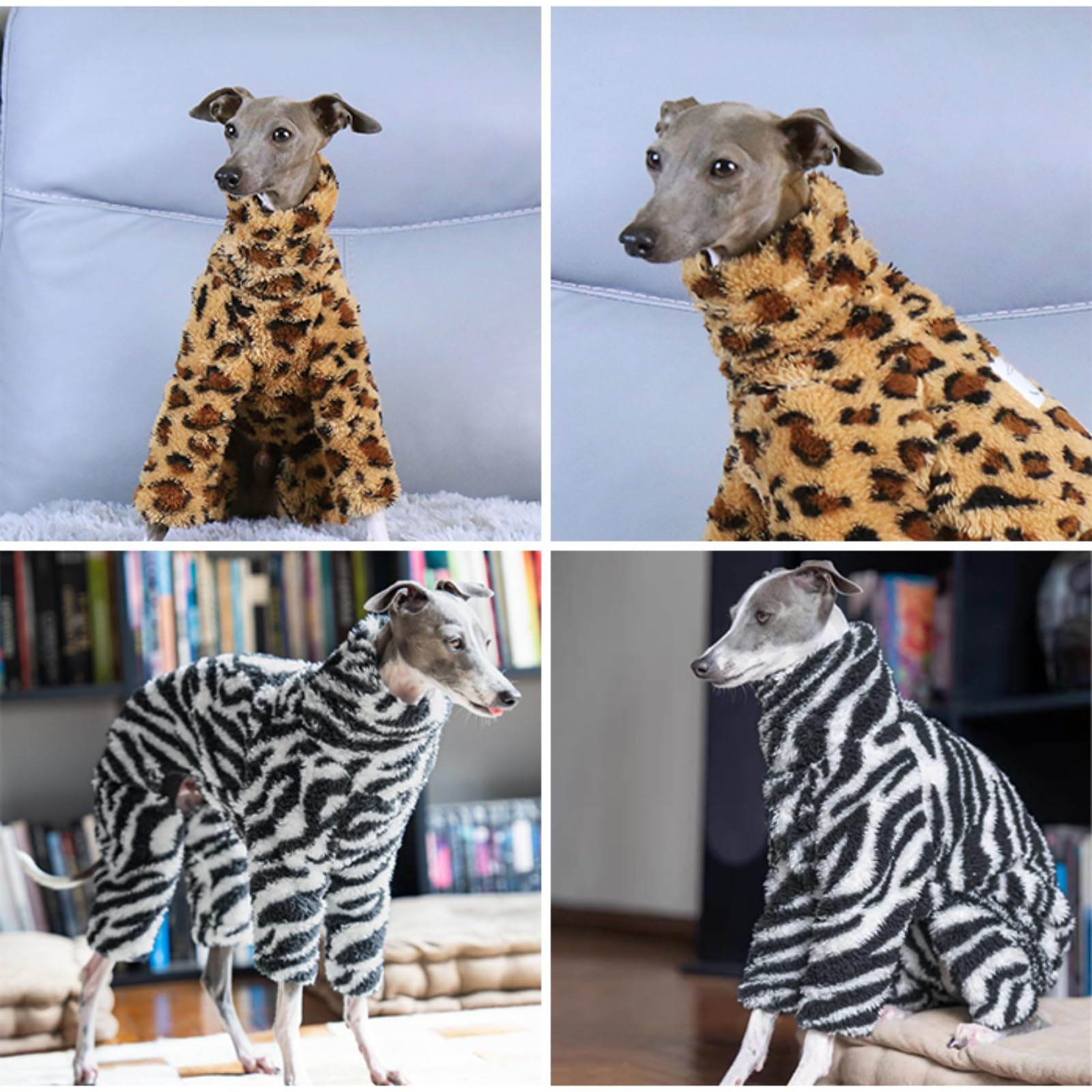 イタグレちゃん JEKCA BLOC】グレイハウンド イタグレ (S・M) | 立体ブロック（JEKCA