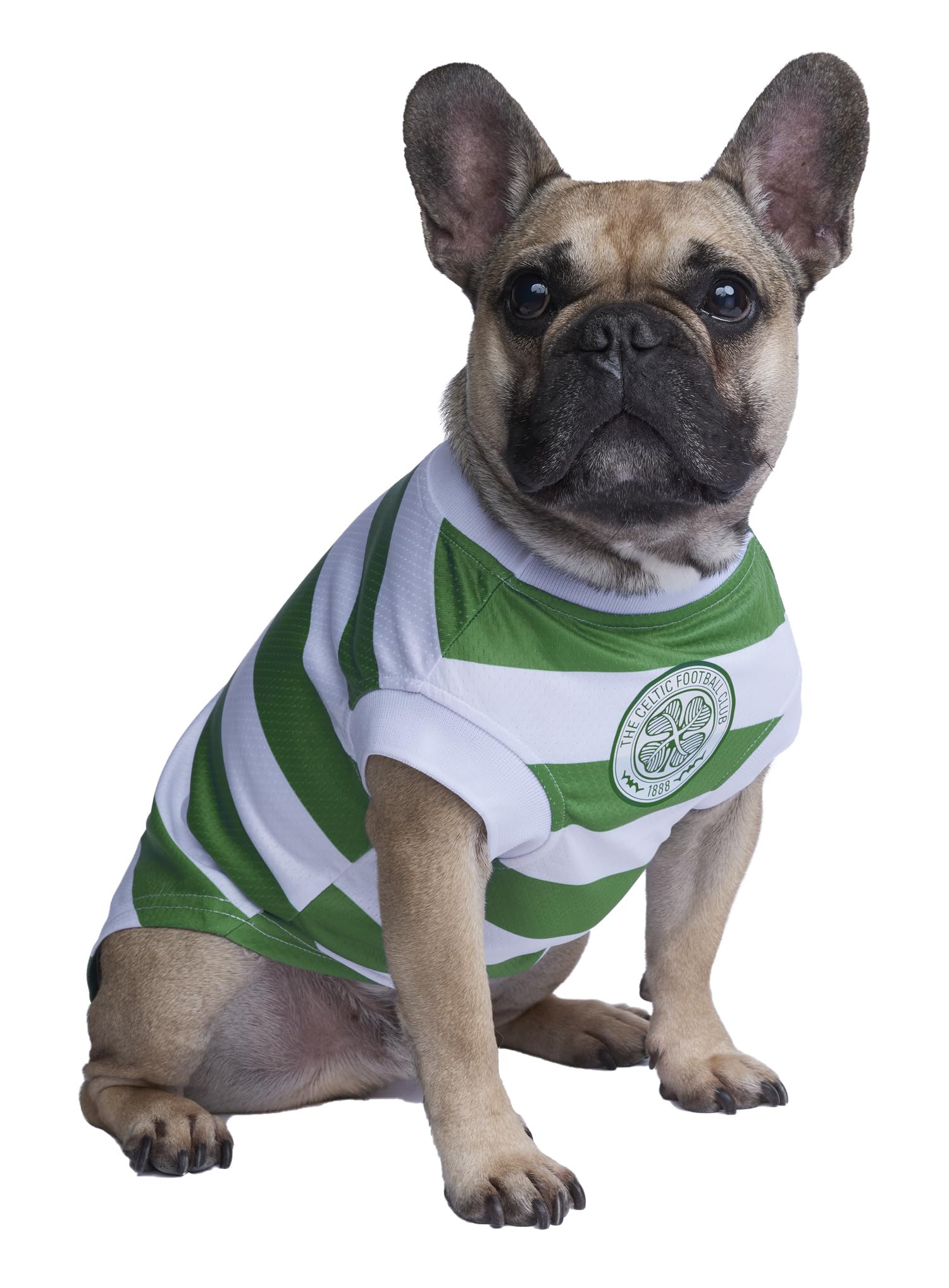 Camiseta oficial del equipo de fútbol celta para perro (personalizable con nombre y número) (XXL, longitud del cuerpo del perro: 45 cm)