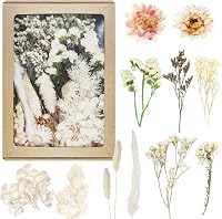 Dog's Booty Szárított Virágok Fehér DIY Dekorációhoz Gyertyához Scrapbooking 7