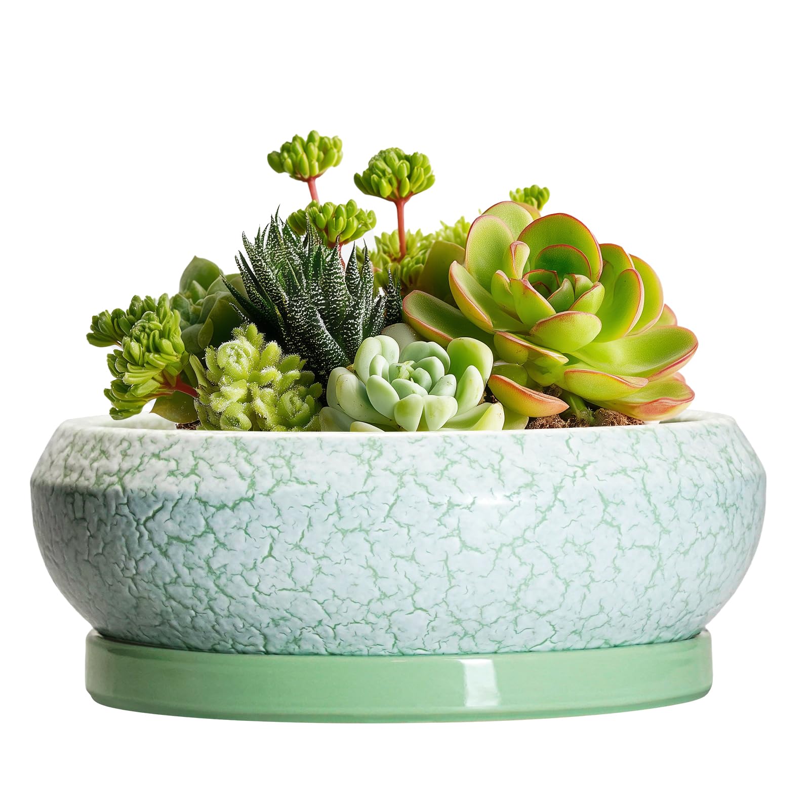 EPFamily Ceramic Bonsai Pots, 6 Inch Plant Pot with Drainage Holes and SaucersοΌGreen-White