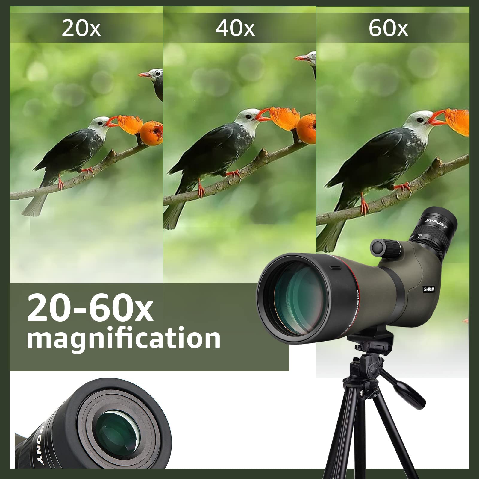 Buy SVBONY SV46 Spotting Scopes, Angled 2060x80 Spotting Scope with Tripod, HD Dual Focus