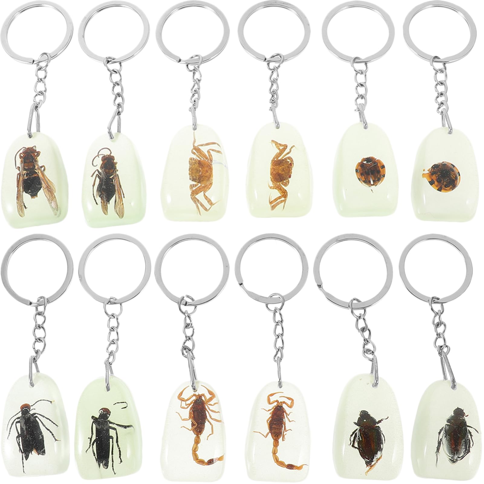 Alasum 12pcs Insect Specimen Keychains, Real Insect Amber Pendants, Synthetic Resin, Decorative Key Rings for Diy Projects