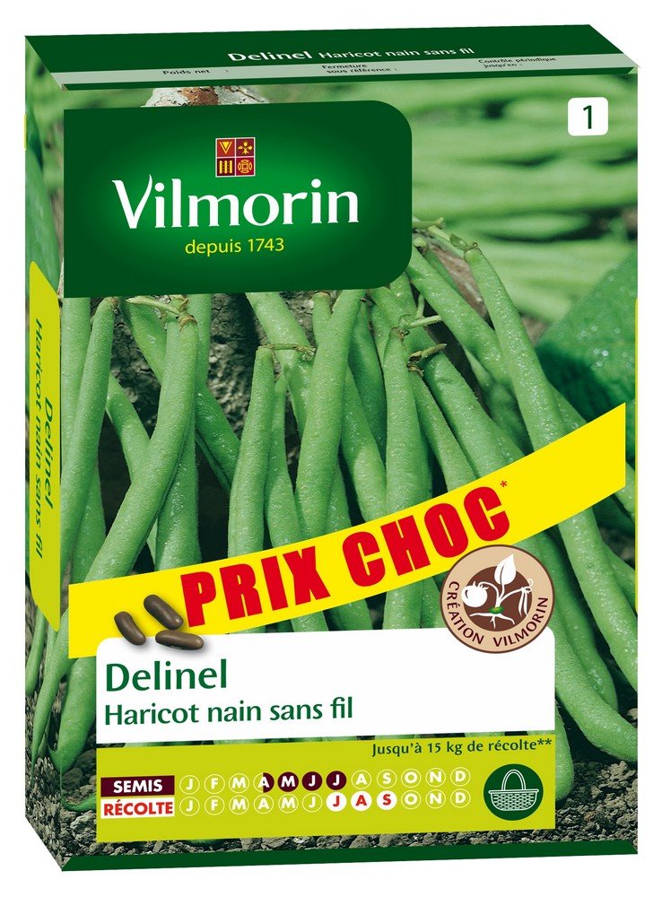 Vilmorin 1149564 Graines Haricot Delinel Obtention potager productif