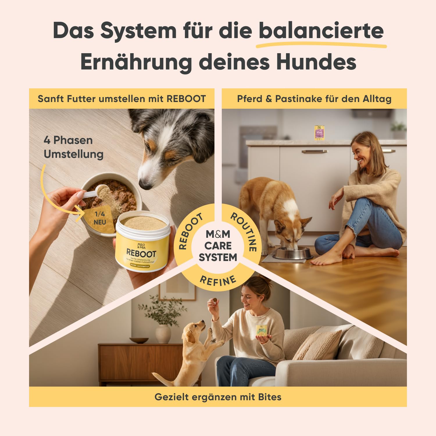 Hundefutter nass mit Lachs & Kartoffel, getreidefrei, 24 x 400 g