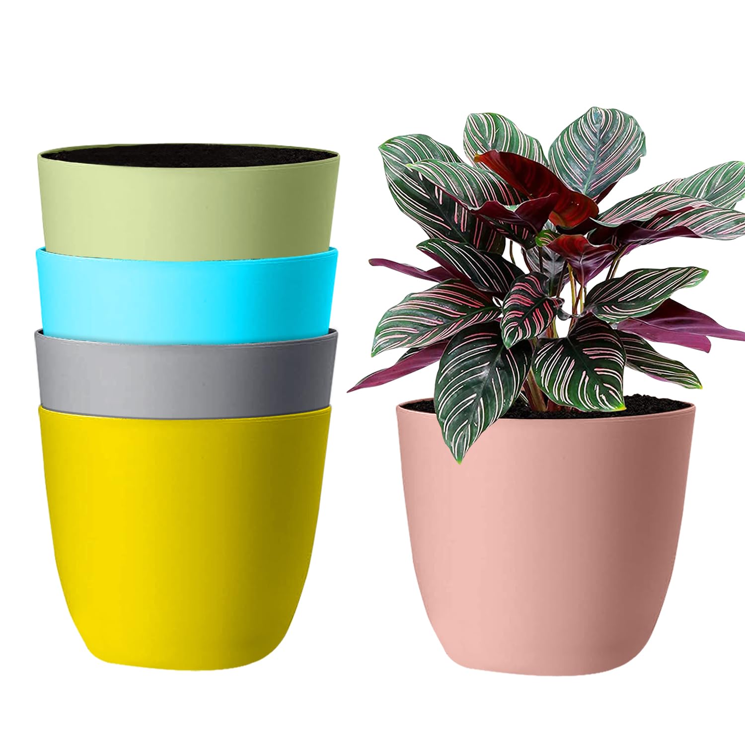See full amazon price history chart for Oriley 10.5-Inch Self Water Plant Pots Easy to Maintain for Indoor/Outdoor/Balcony/Garden/Home Decor Lightweight & Stylish Design (Pack of 5) Oriley 10.5-Inch Self Water Plant Pots Easy to Maintain for Indoor/Outdoor/Balcony/Garden/Home Decor Lightweight & Stylish Design (Pack of 5) (B0C89J8PTH) Amazon Price History, Amazon Price Tracker